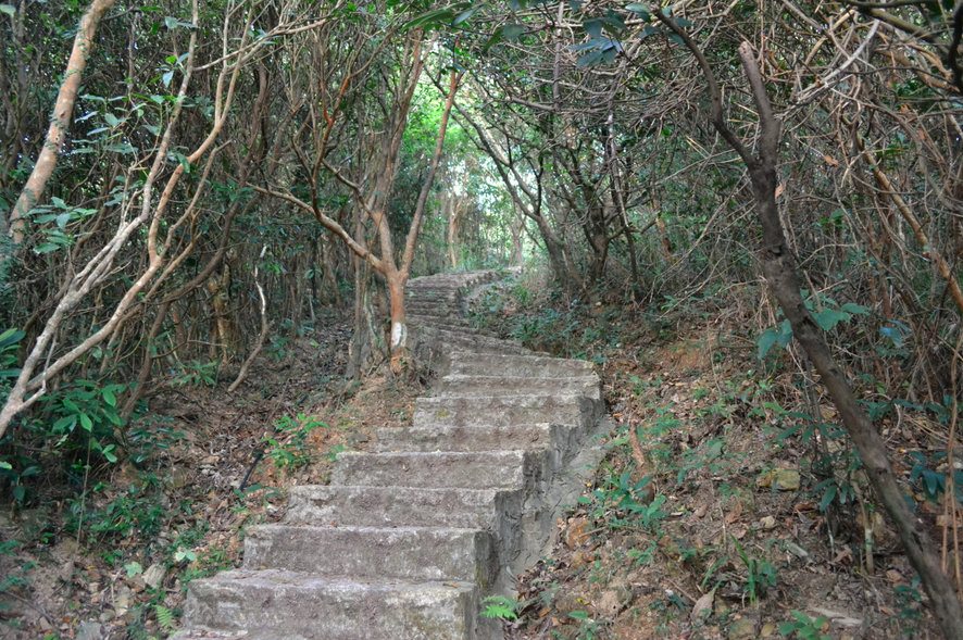 Escalier Victoria Peak Hong Kong
