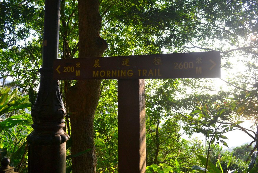 Morning Trail Victoria Peak Hong Kong