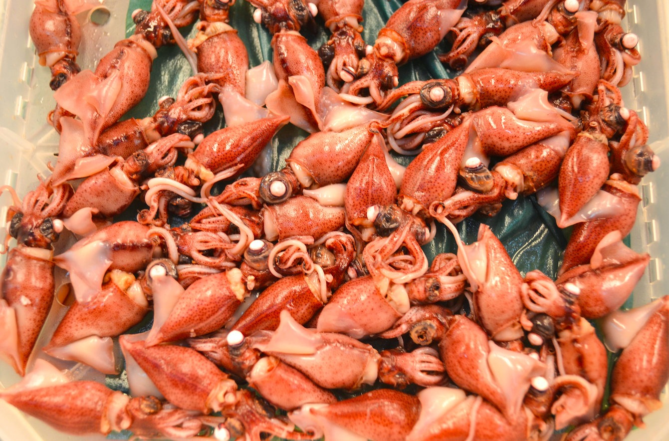 Poulpes Marché Tsukiji Tokyo Japon 5