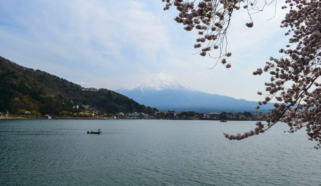 Floraison des Cerisiers Sakura Japon - Mont Fuji Lac Kawaguchiko