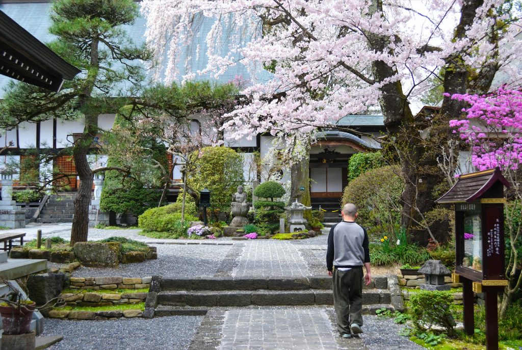 Temple Floraison des Cerisiers Sakura Japon Kawaguchiko