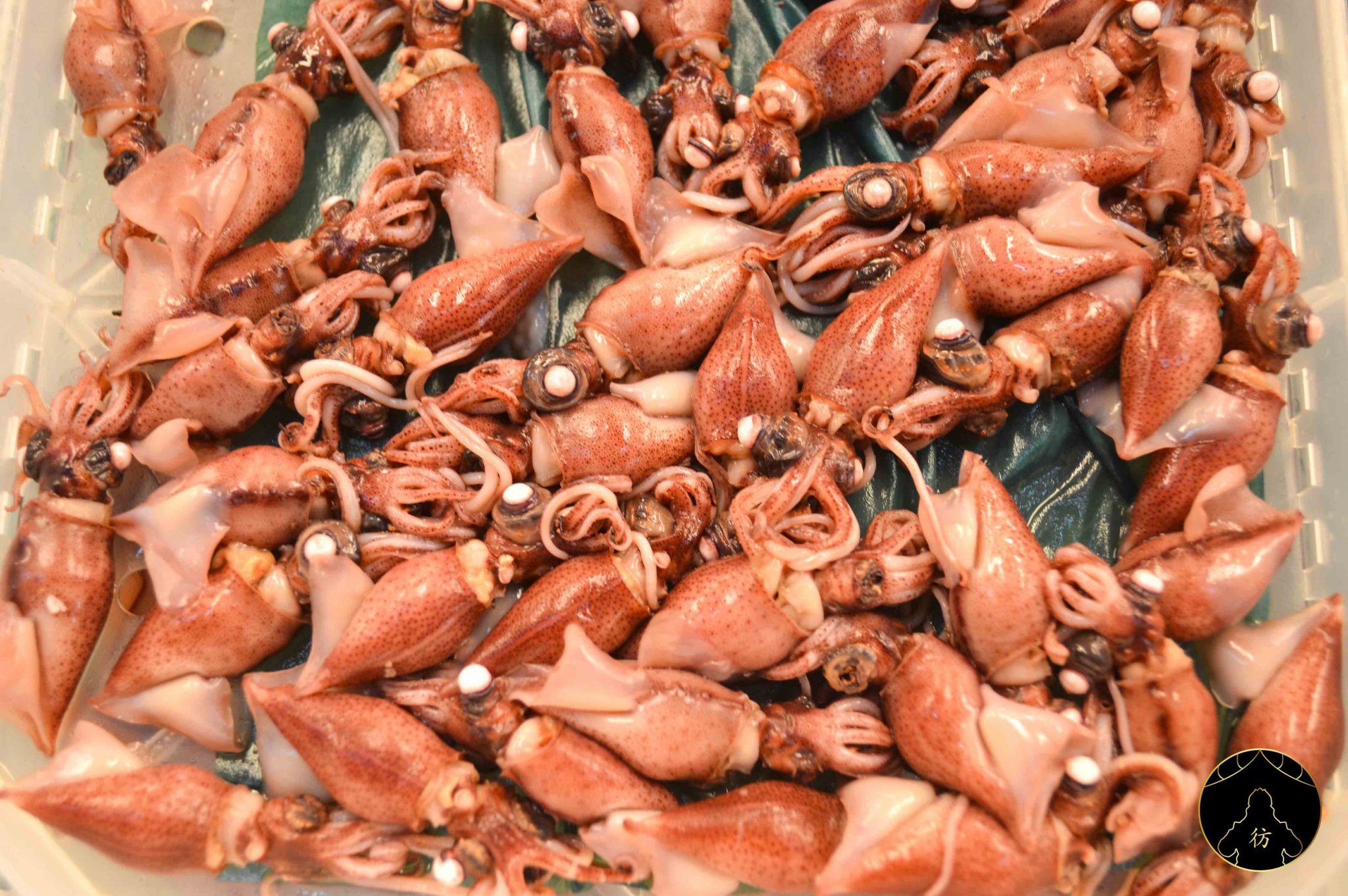 marche-tsukiji-tokyo-japon-mini-poulpes