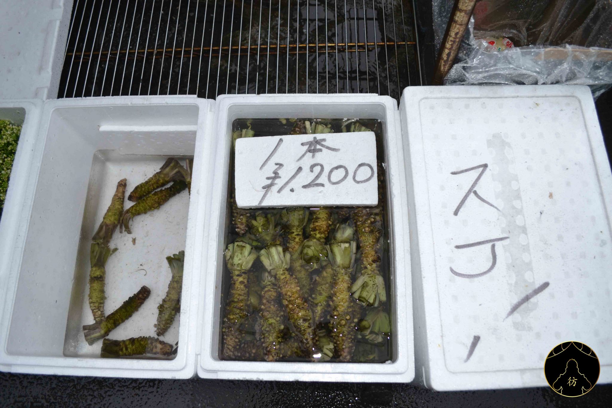 marche-tsukiji-tokyo-japon-racine-wasabi