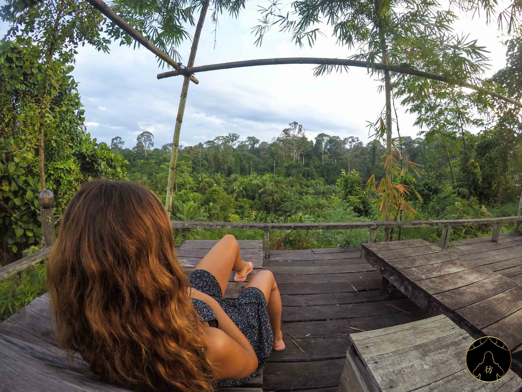 Malaisie-Foret-Jungle_