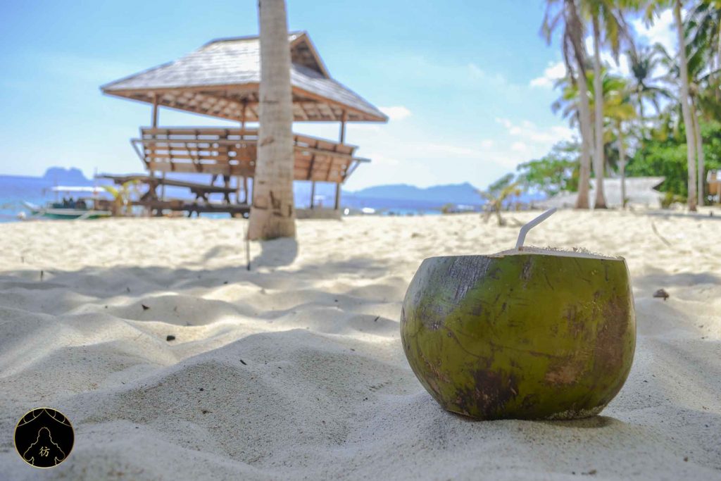 El Nido Palawan Philippines 14 - Shimizu Island Noix de Coco Plage