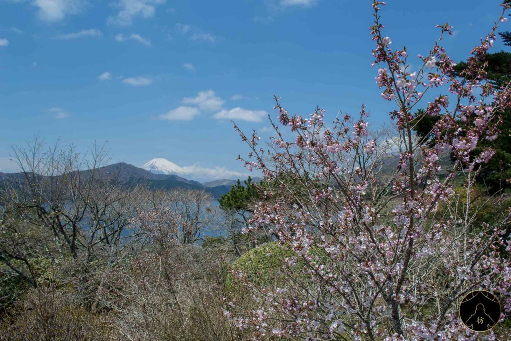 Hakone Japon 12 - Onshi Hakone Koen Observatoire Mont Fuji Lac Ashi