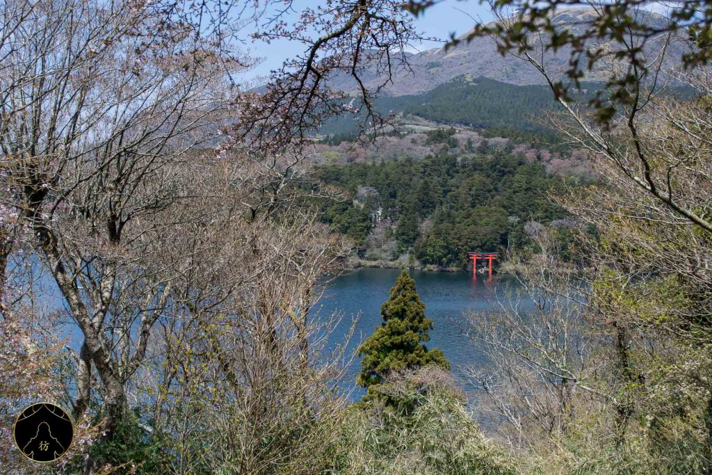 Hakone Japon 14 - Torii Onshi Hakone Koen Observatoire Mont Fuji Lac Ashi
