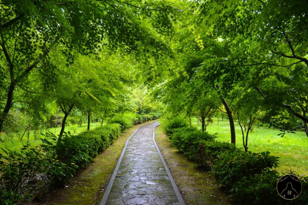 Dame Nature - Takeo Shrine Sanctuaire Saga Kyushu Japon
