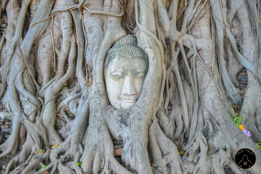 Dame Nature - Wat Mahathat Ayutthaya Thailande