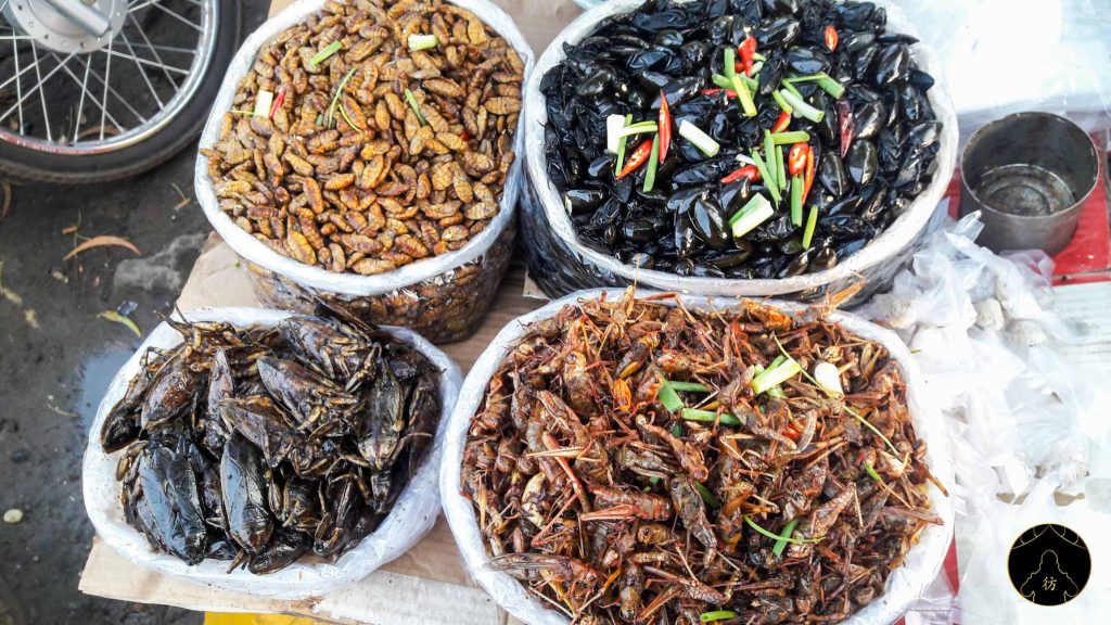 Sihanoukville Cambodge - Plage Ochheuteal Beach Insectes