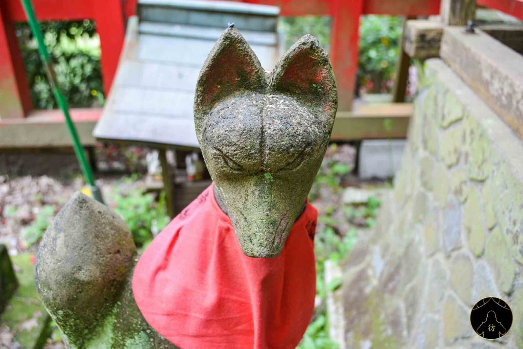 Kamakura Japon 23 Sanctuaire Sasuke Inari Foret
