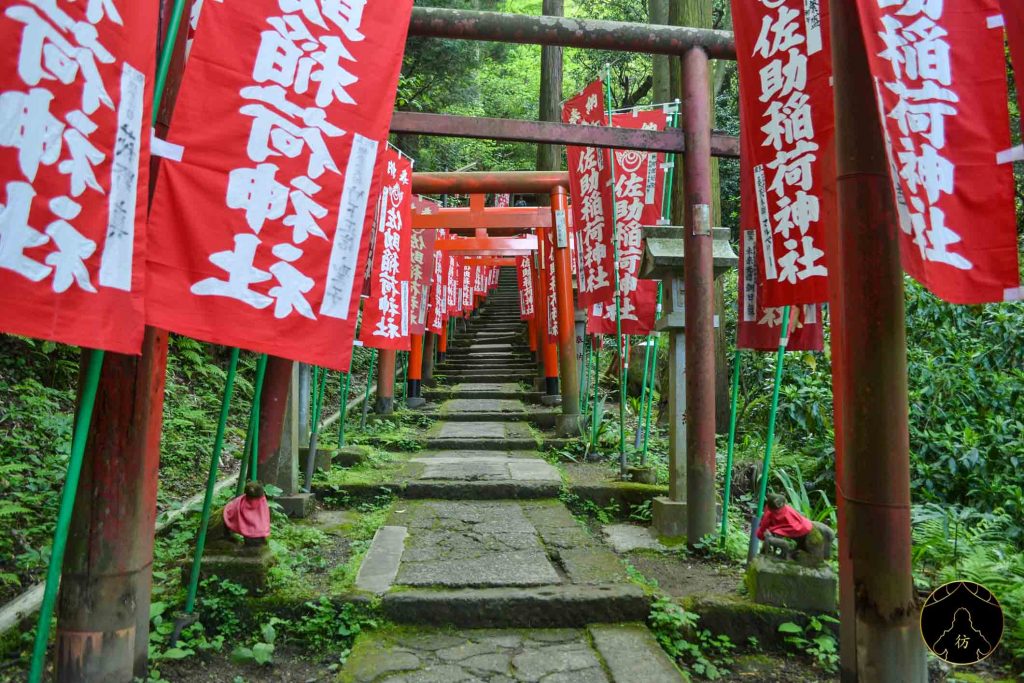 Kamakura Japon 24 Sanctuaire Sasuke Inari Foret
