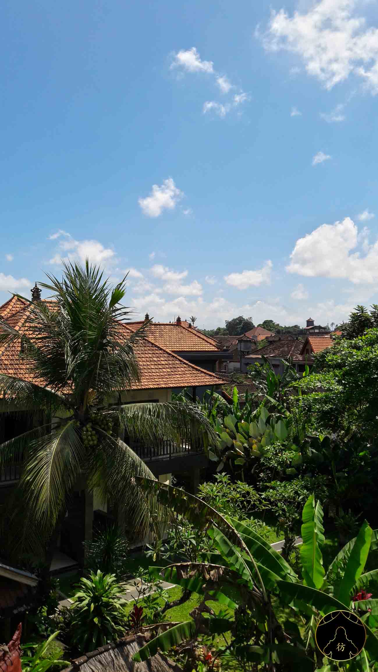 Ubud Bali - Top 20 Best Things To Do In Ubud Bali + More Travel Tips