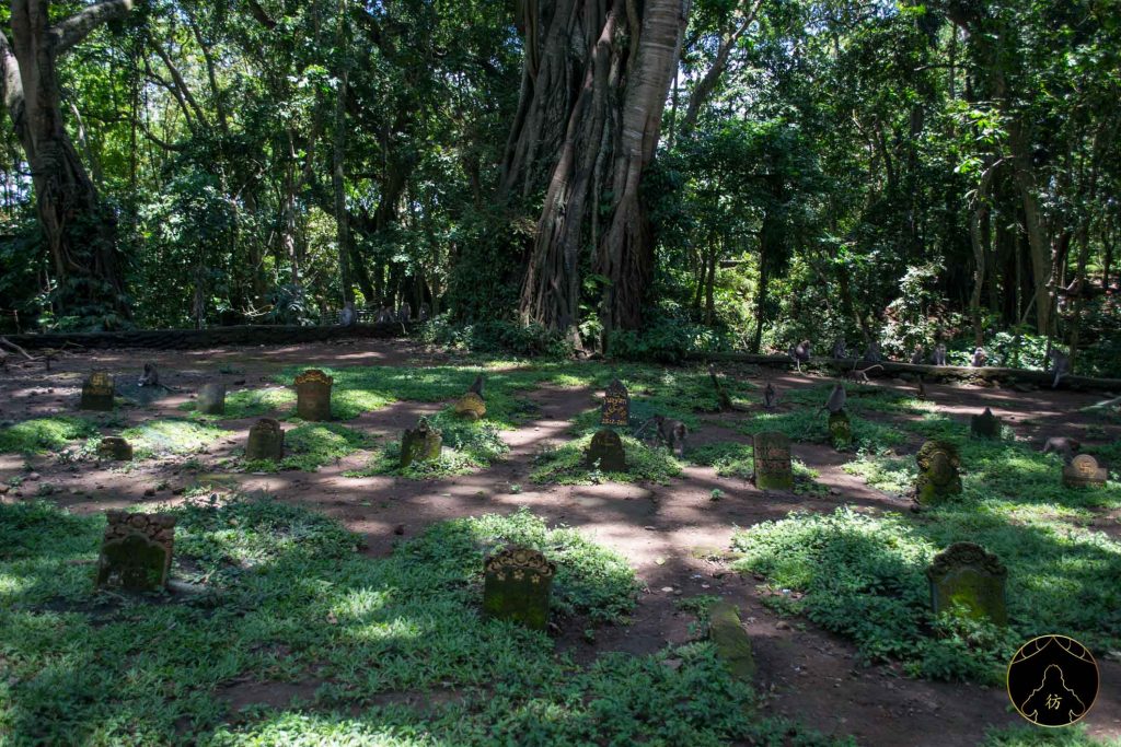 Ubud Bali Indonesie - Monkey Forest Foret des singes 9