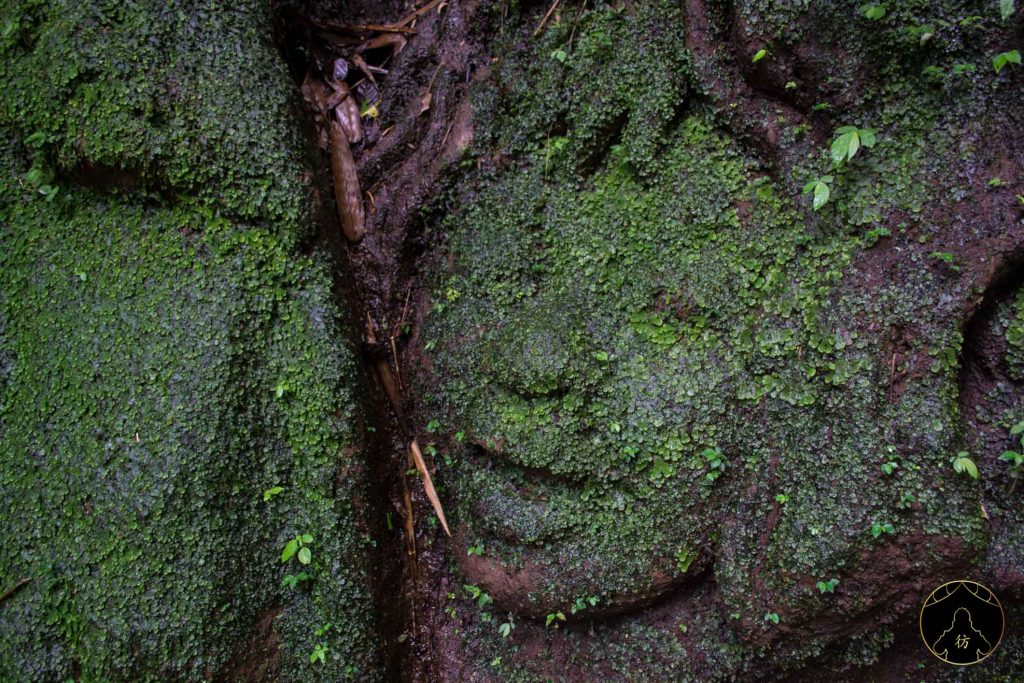 Ubud Bali Indonesie - Pura Sebatu Temple Fontaine Eau Sacrée 2