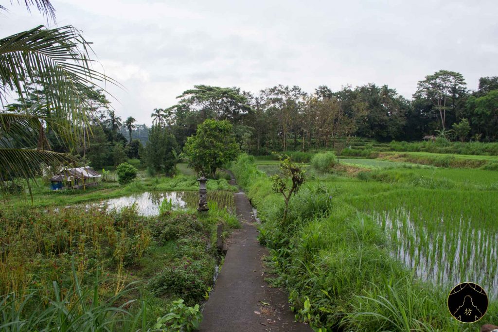 Dormir chez l'habitant Bali 18 - Village Rizières