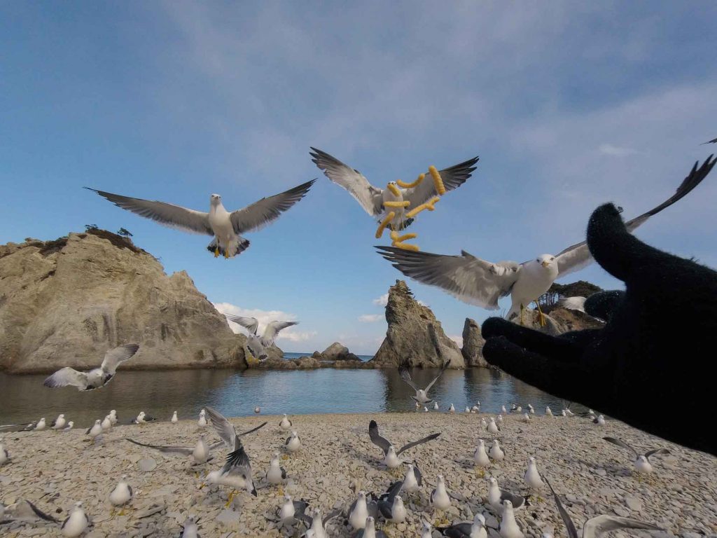 Iwate Japon Jodogahama Beach Mouettes
