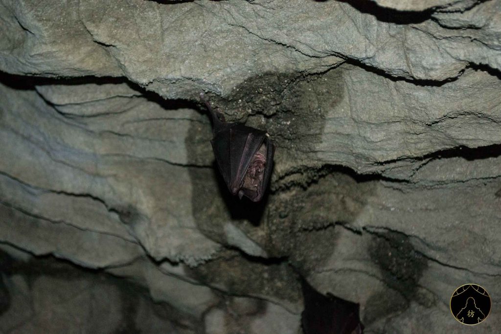 Iwate Japon - Ryusendo Cave 08