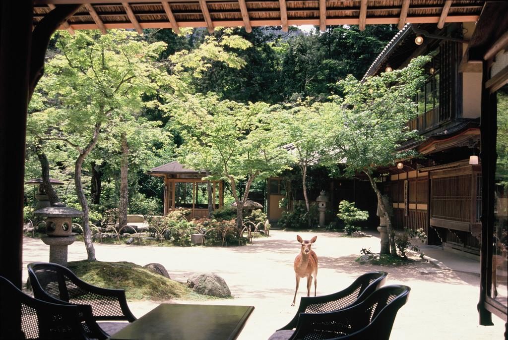 Ryokan Japon - Miyajima Iwaso 2
