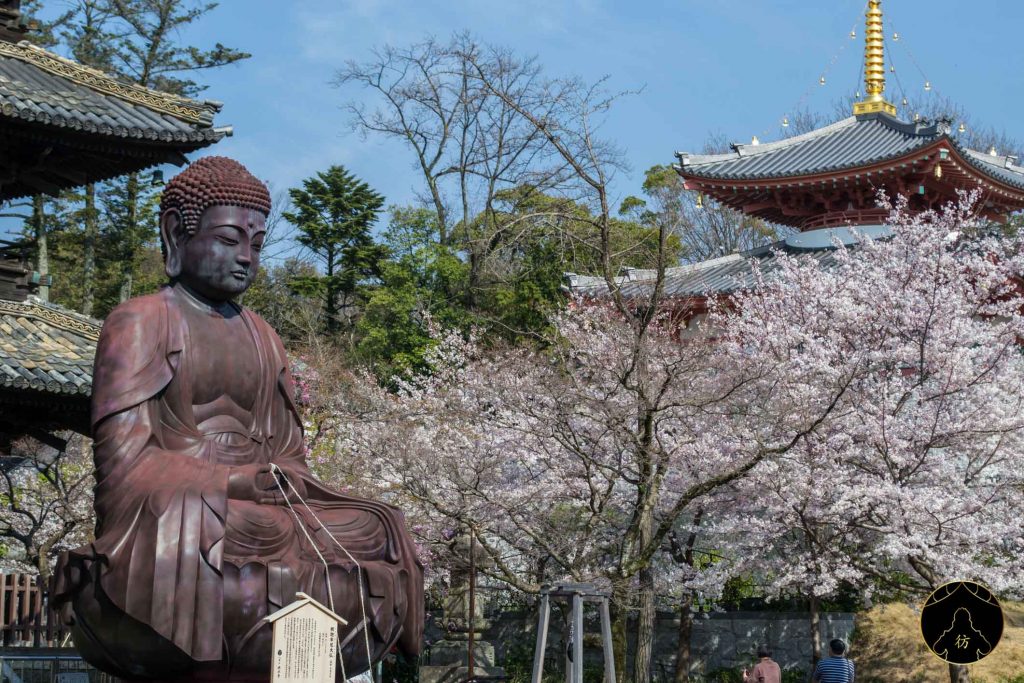 Floraison des Cerisiers Sakura Japon - Nagoya Temple Kocho-ji