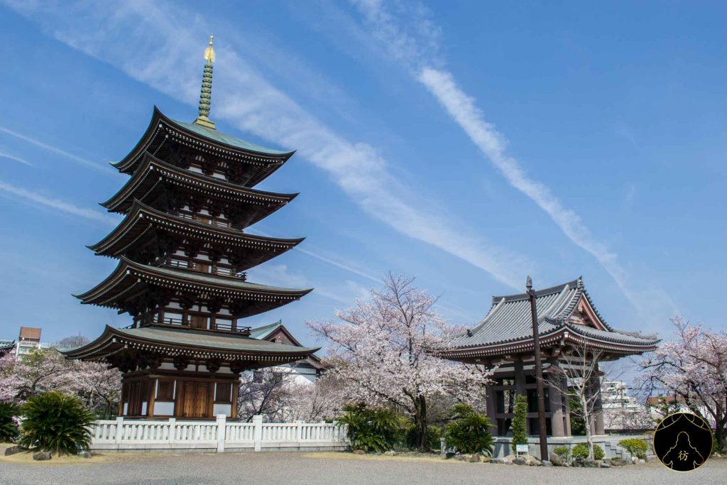 Floraison des Cerisiers Sakura Japon - Nagoya Temple Nittai-ji