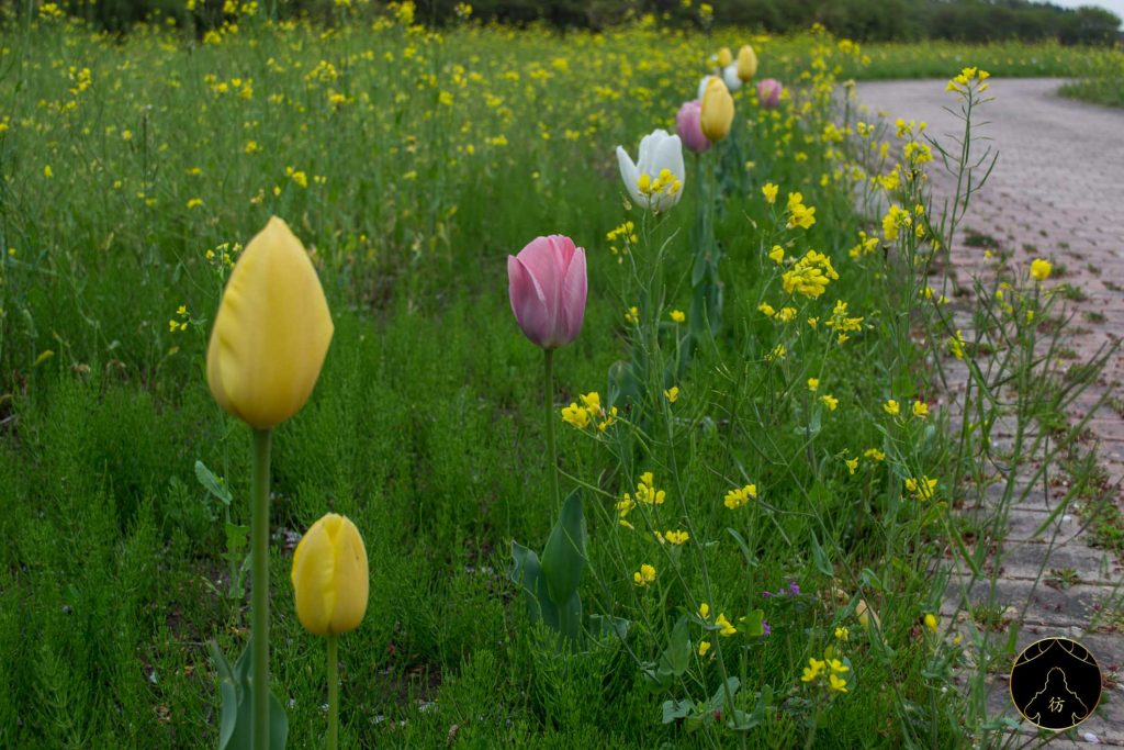 Camping Tochigi Utsunomiya Romanticmura Village 41