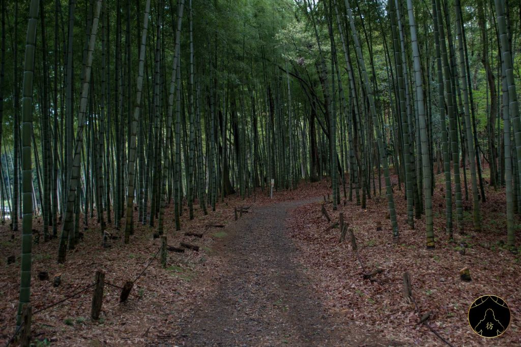 Camping Tochigi Utsunomiya Romanticmura Village 41