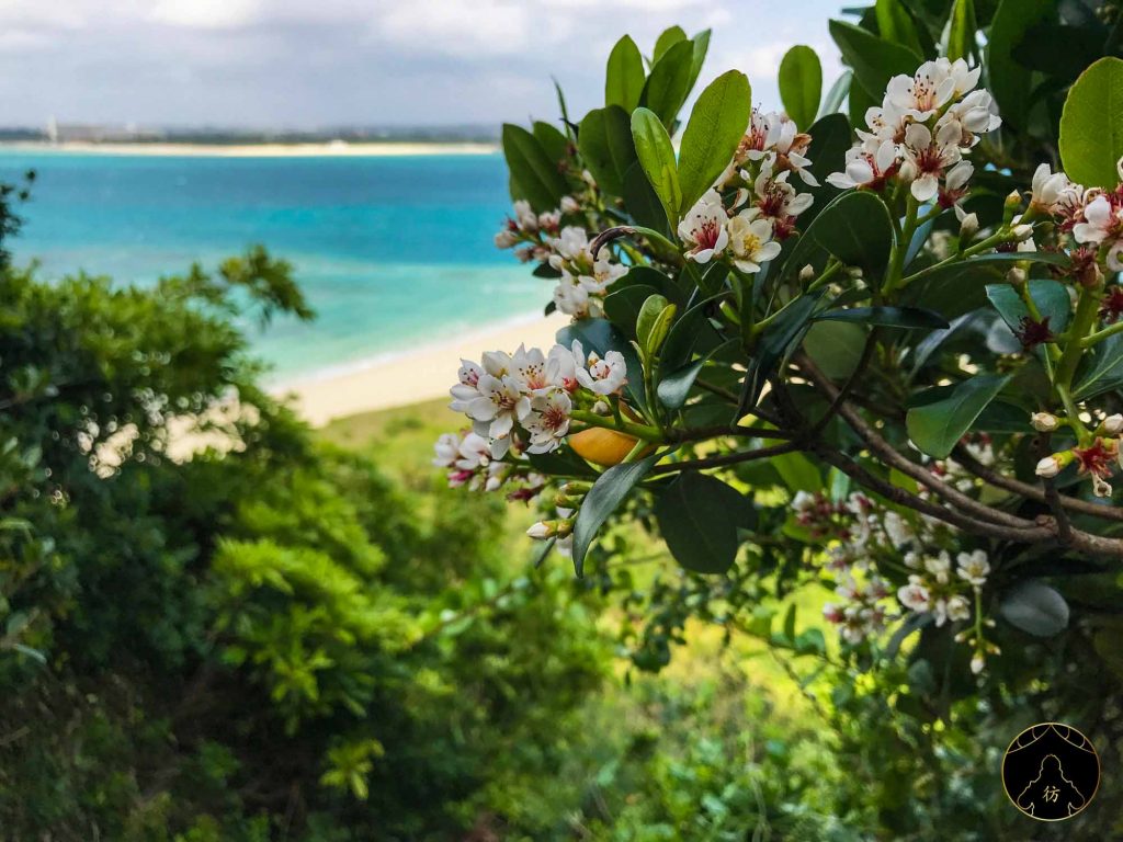 Miyakojima Okinawa Japon 15