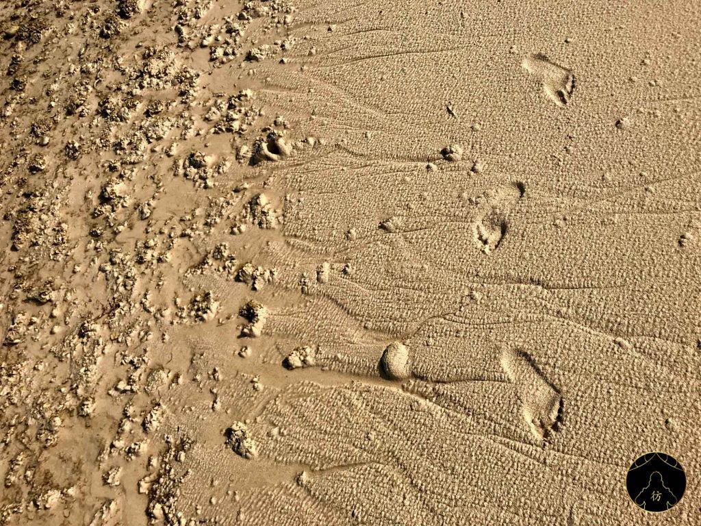 Miyakojima Okinawa Japon 18