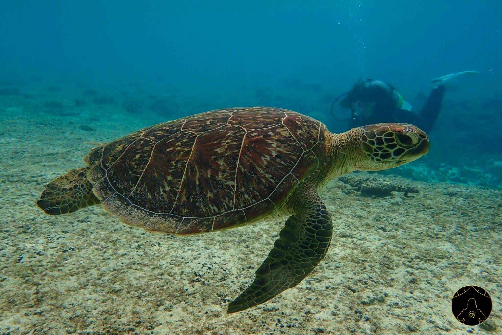 Miyakojima Okinawa Japon 25