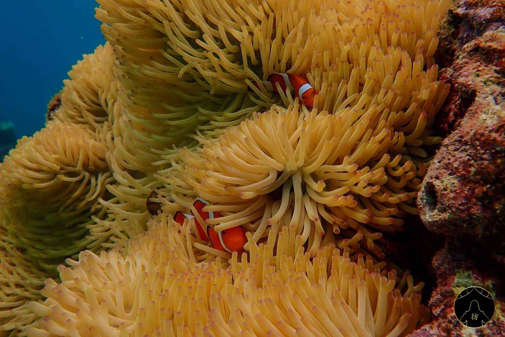 Miyakojima Okinawa Japon 26