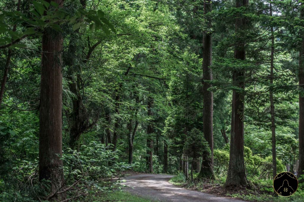 Niigata Japon - Dégustation de Soba au restaurant Miyanoya 03