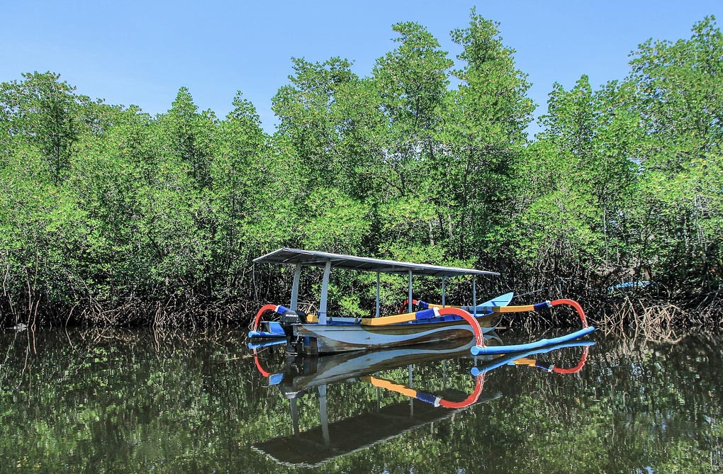 Activity to Do in Nusa Lembongan #5 – Discover the Mangrove Forest 