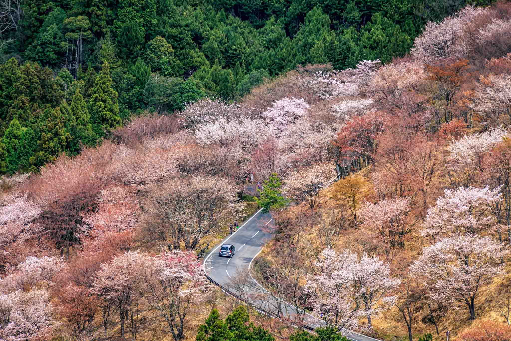 Japan Countryside #10 – Yoshino (Nara) Mount Yoshinoyama