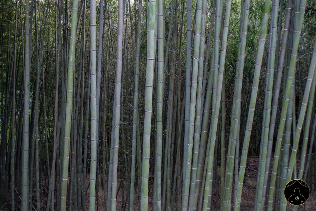 Okayama Japon - Randonnée entre le sanctuaire Kibitsuhiko et Kibitsu 09