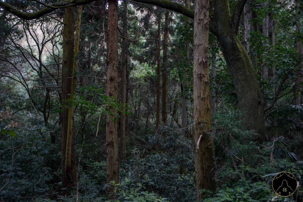 Okayama Japon - Randonnée entre le sanctuaire Kibitsuhiko et Kibitsu 09