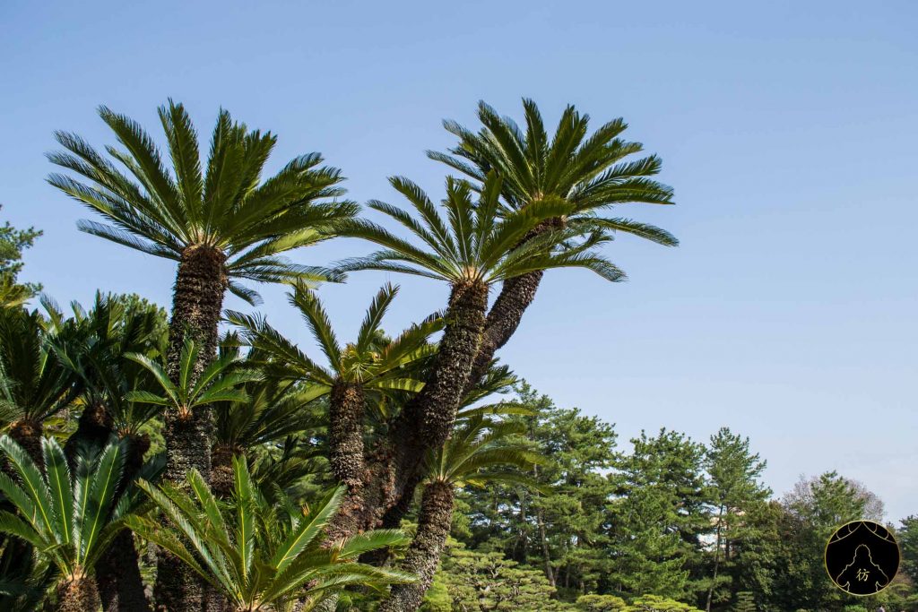 Takamatsu Japon - Le jardin Ritsurin 01