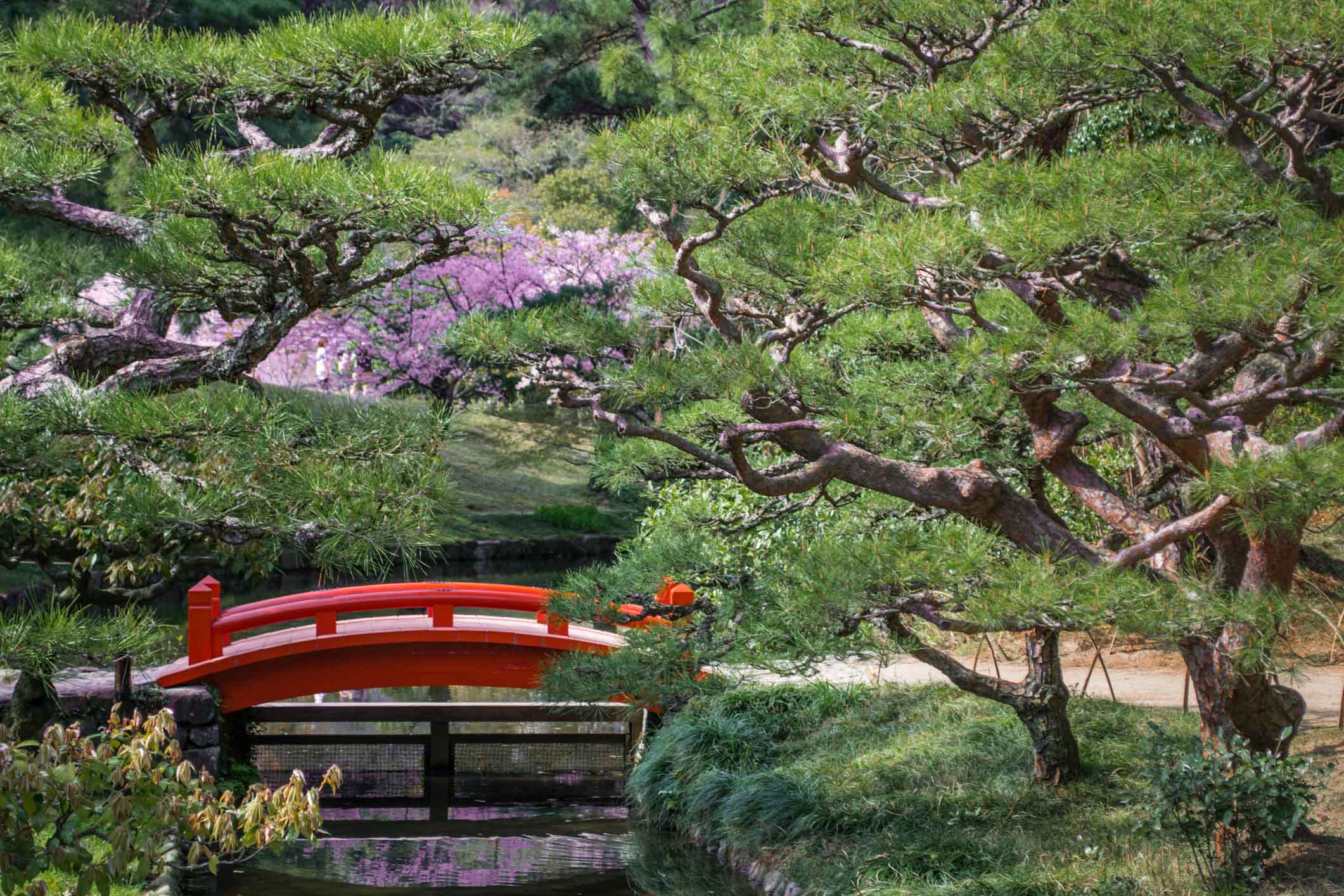 Takamatsu Japon - Le jardin Ritsurin 05 Couverture
