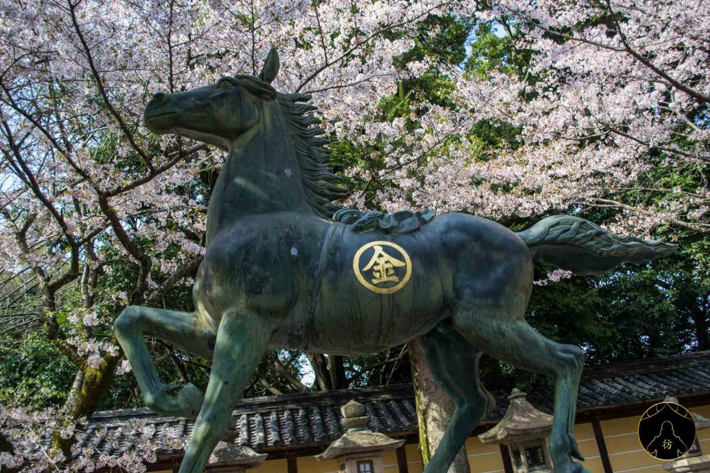 Takamatsu Japon - Le sanctuaire Kotohira 11