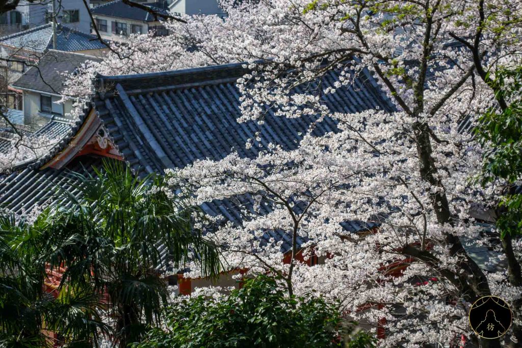 Wakayama Japon #4 - Le Temple Kimiidera 03