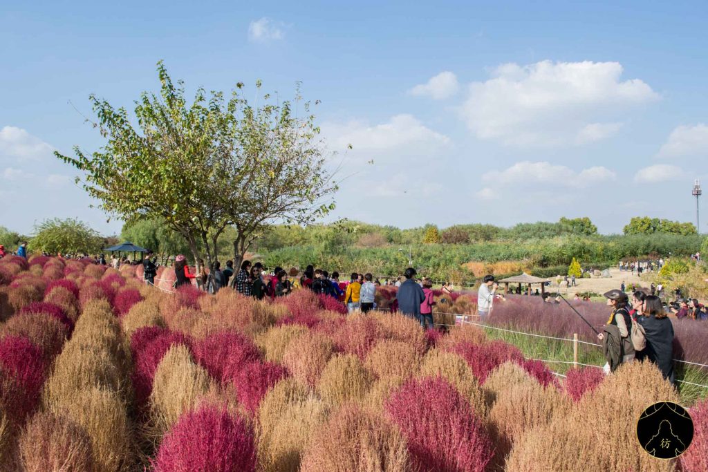 13. Visiter Seoul - Le parc Haneul 03