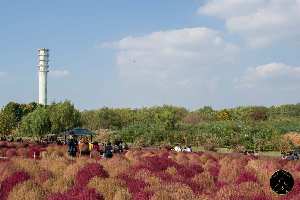 13. Visiter Seoul - Le parc Haneul 03