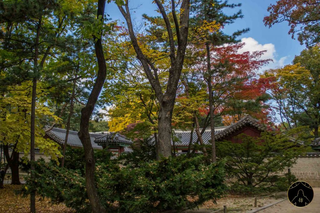 5. Visiter Seoul - Le sanctuaire Jongmyo 04