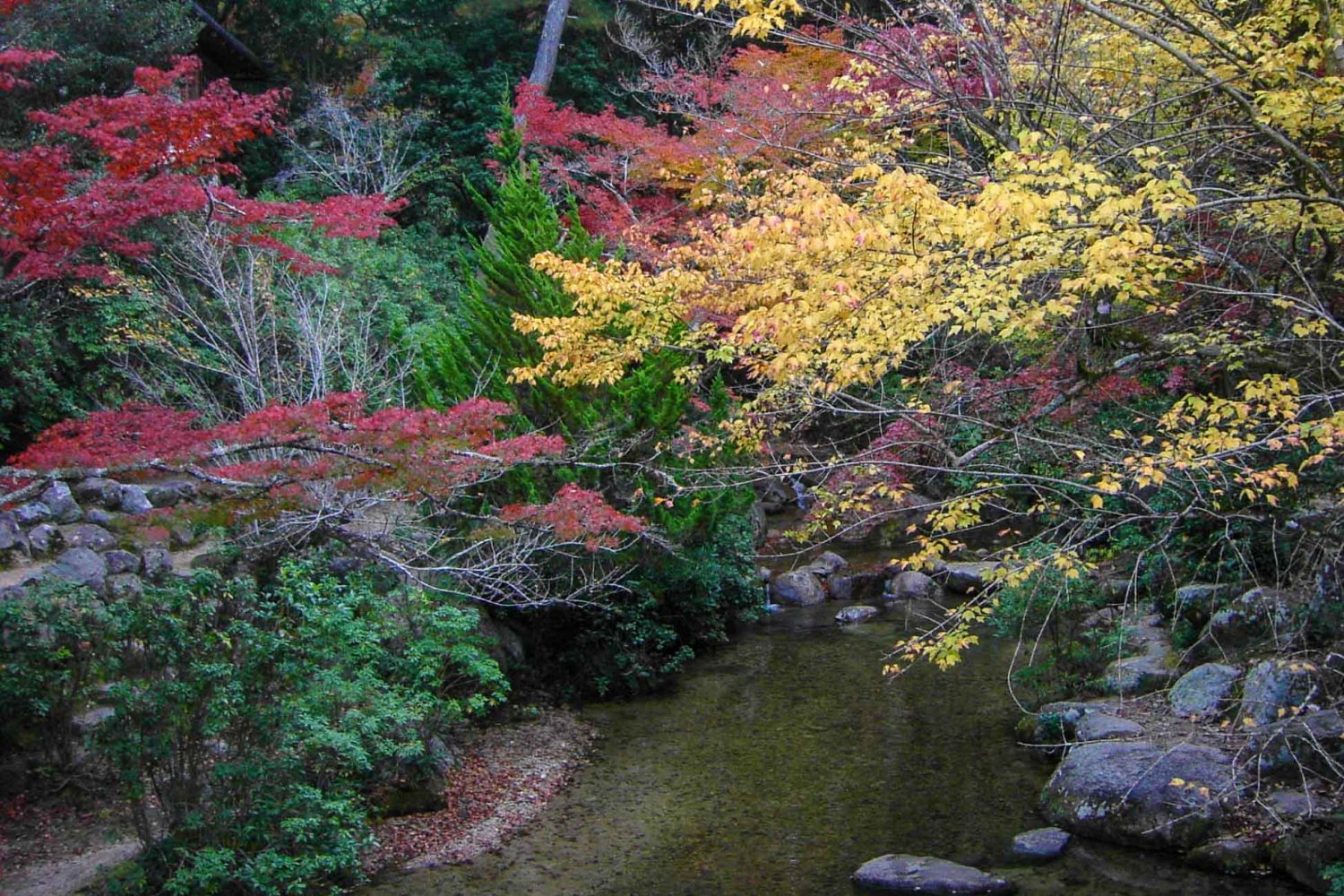2023 Autumn In Japan Travel Guide - Foliage Dates, Best Spots..