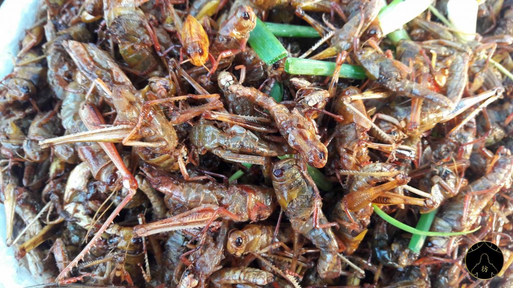 Sihanoukville Cambodge - Plage Ochheuteal Beach Insectes 01