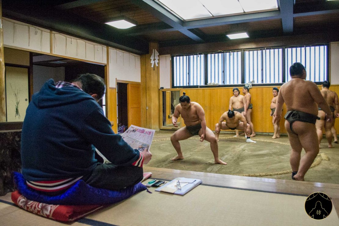 How To Watch A Sumo Training In Tokyo? Complete Guide 2026