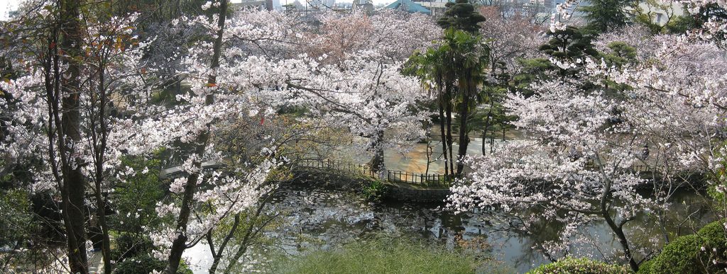 Things to do in Matsuyama Japan #6: Dogo Park