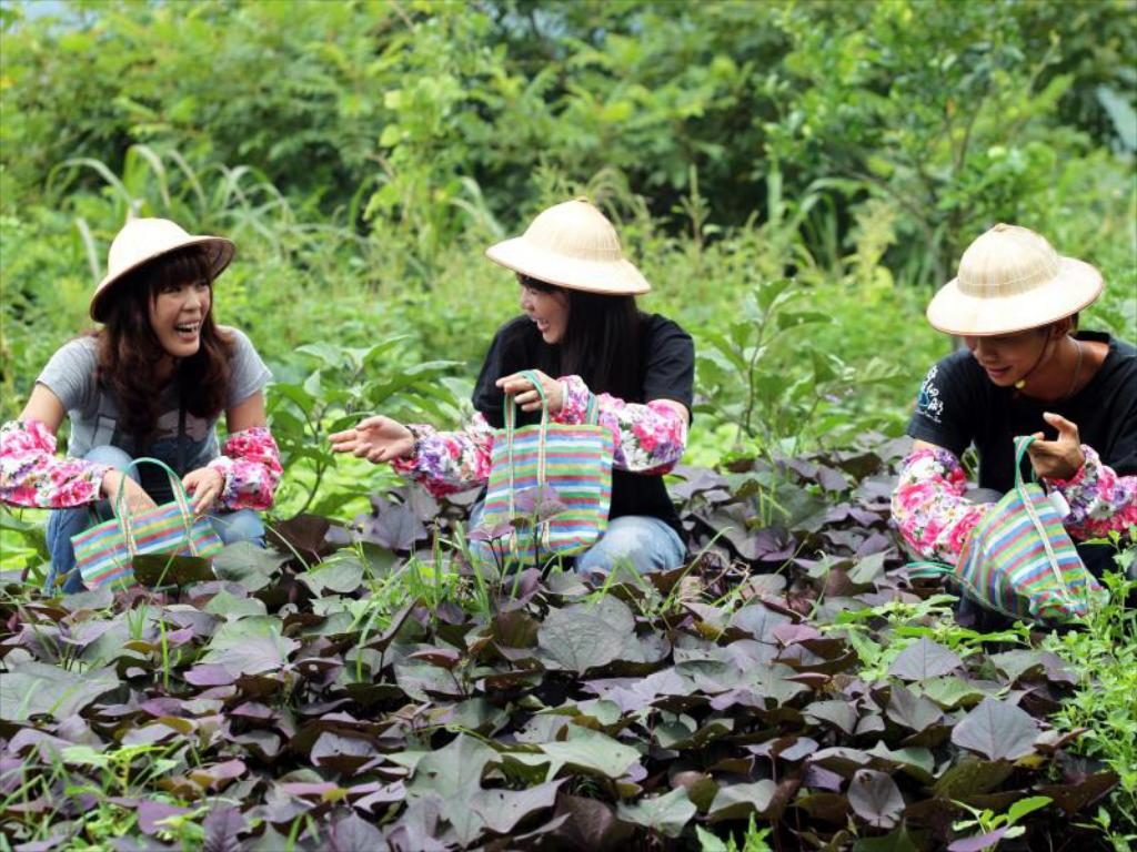 Things To Do in Tainan Taiwan #4 – Fairy Lake Leisure Farm  