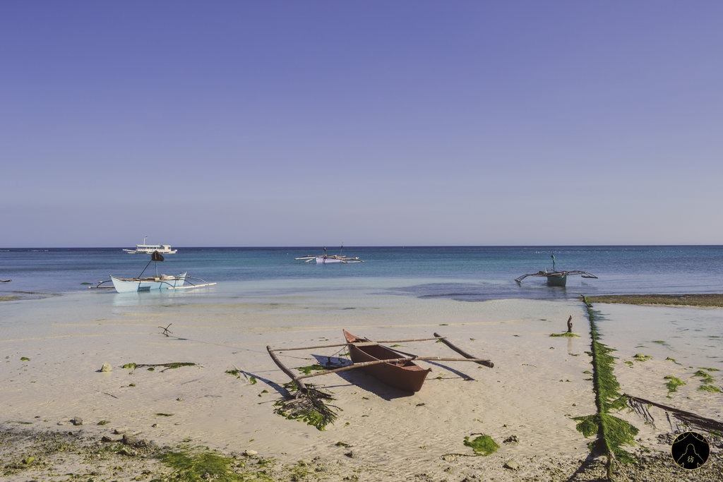 Beach Siquijor Island Philippines