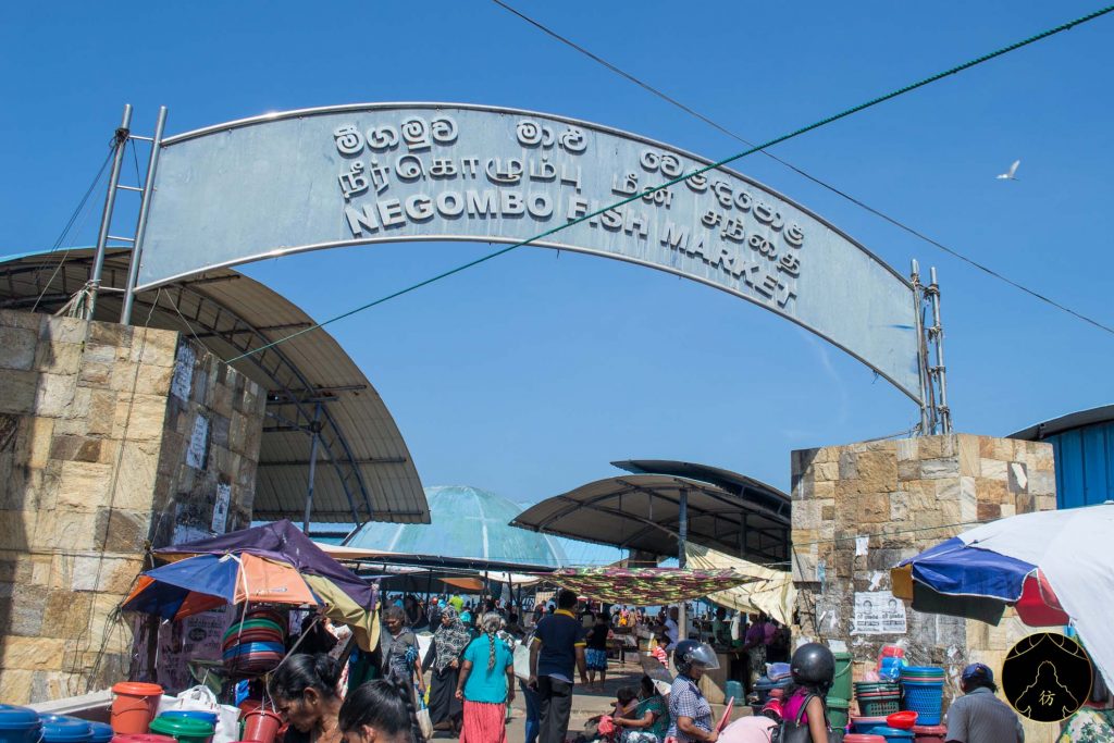 Negombo Sri Lanka - The Fish Market